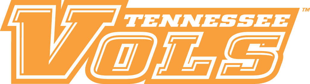 Tennessee Volunteers 2005-Pres Wordmark Logo v3 iron on transfers for clothing